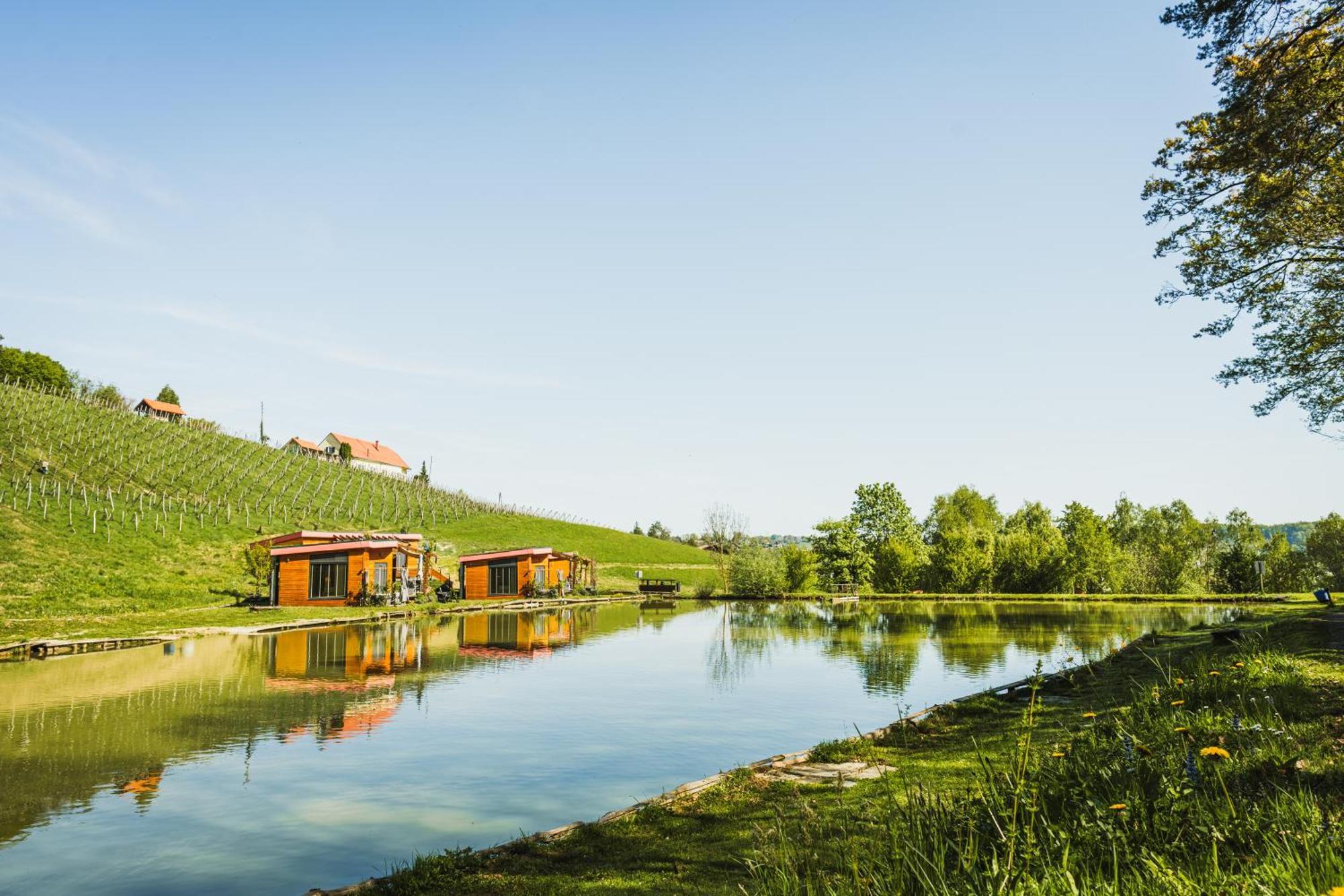 Naturasort Holiday Houses Pesnica pri Mariboru Ngoại thất bức ảnh